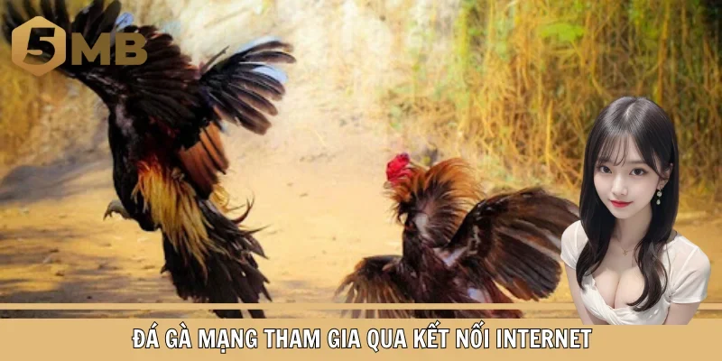 Đá gà mạng tham gia qua kết nối internet