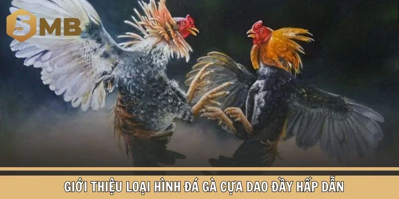 Giới thiệu loại hình đá gà cựa dao đầy hấp dẫn