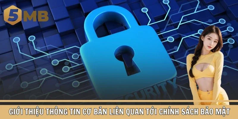 Giới thiệu thông tin cơ bản liên quan tới chính sách bảo mật