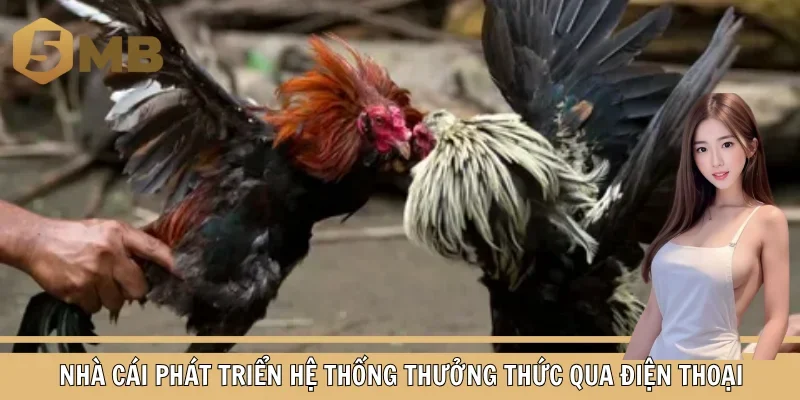 Nhà cái phát triển hệ thống thưởng thức qua điện thoại