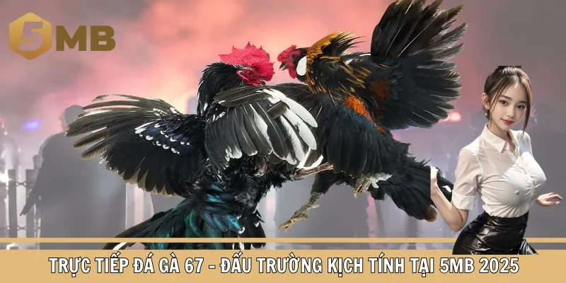 Trực tiếp đá gà 67
